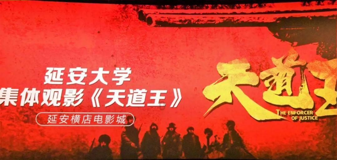 限行政策下,选择新能源销冠才是最优解!